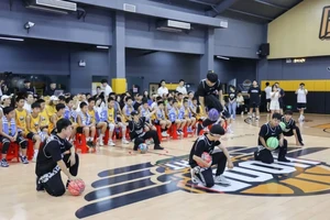 标题:哪里有适合青少年的专注力篮球训练营?如何选择最佳训练方案